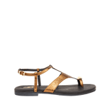 197506-A.PNG