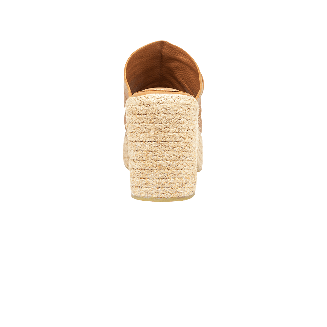 196286-C.PNG