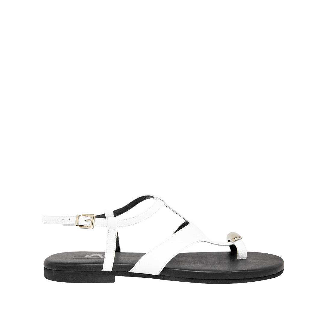 196416-A.PNG
