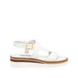 196605-A.PNG