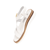196605-B.PNG