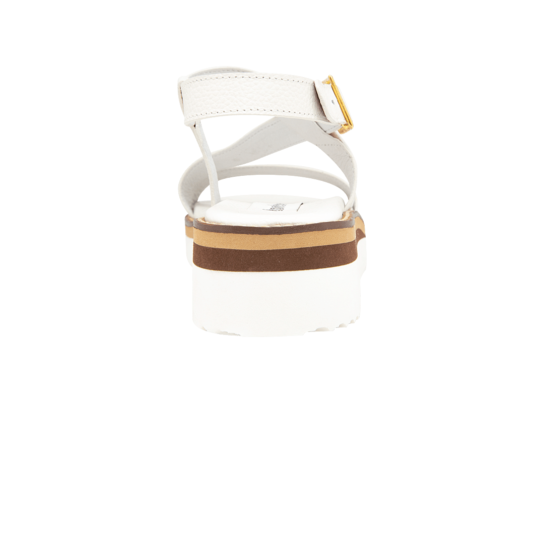 196605-C.PNG