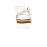 196605-C.PNG