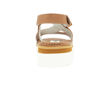 196606-C.PNG