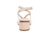 196646-C.PNG