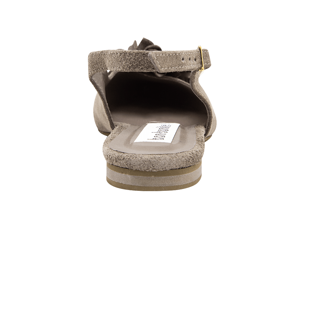 196911-C.PNG