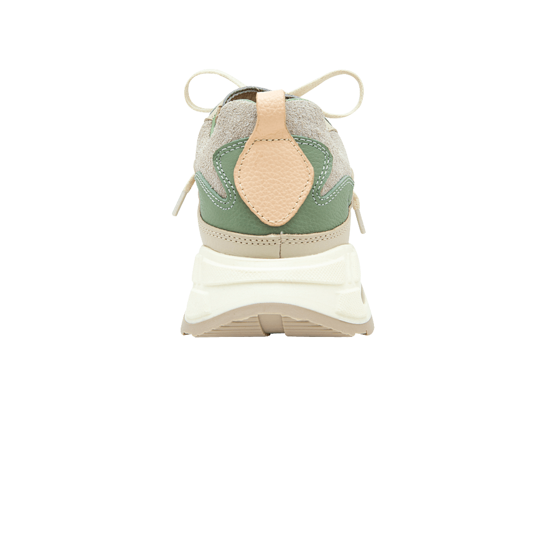 197513-C.PNG