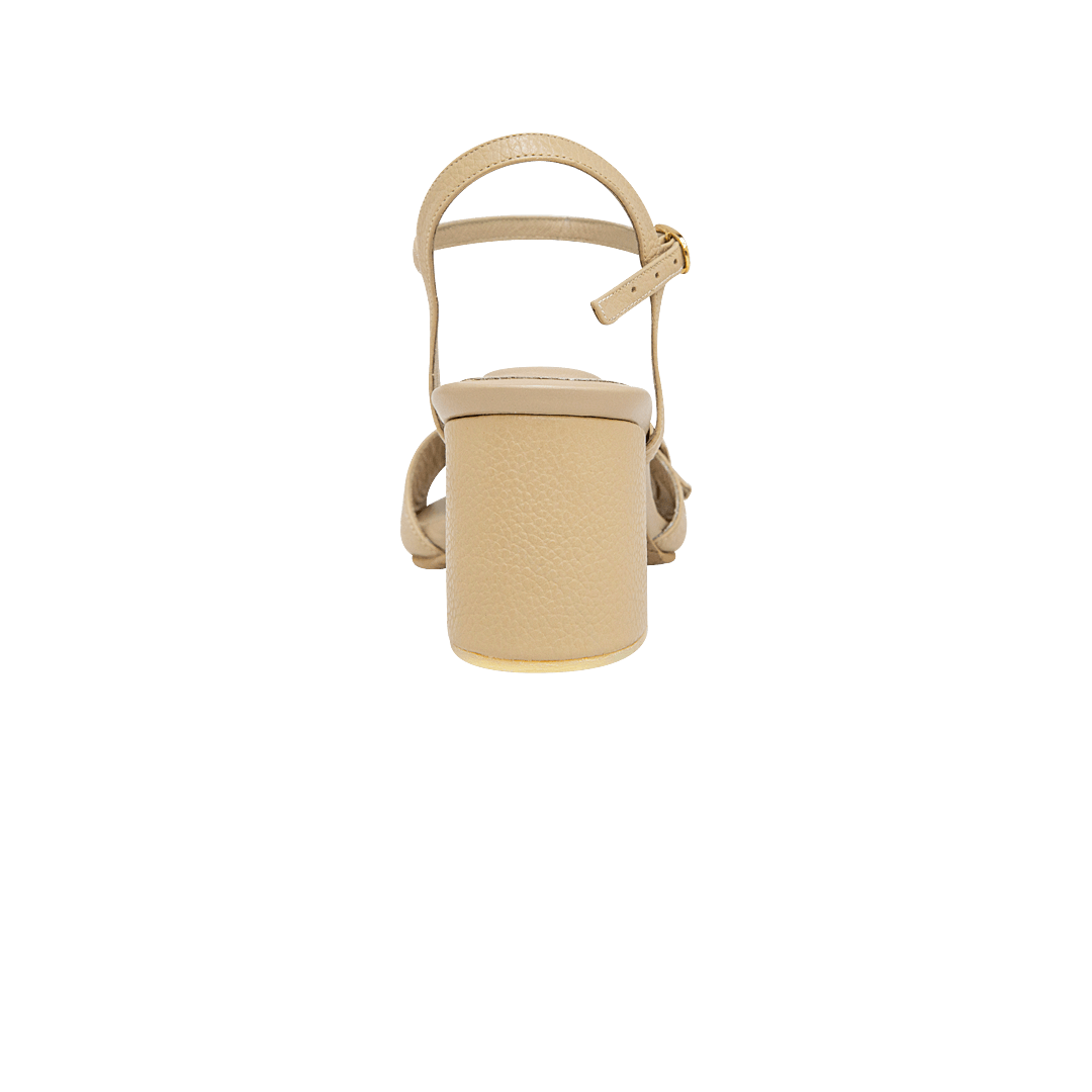 197516-C.PNG