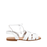 197764-A.PNG