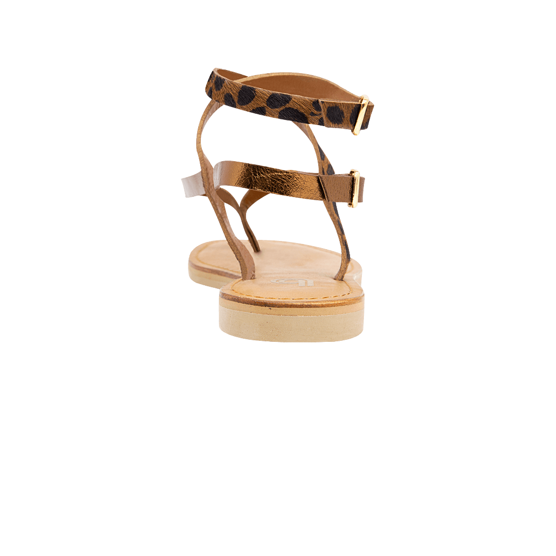 198160-C.PNG