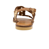198161-C.PNG