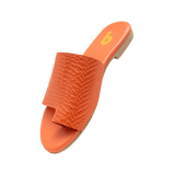 198202-B.PNG