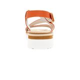 198223-C.PNG