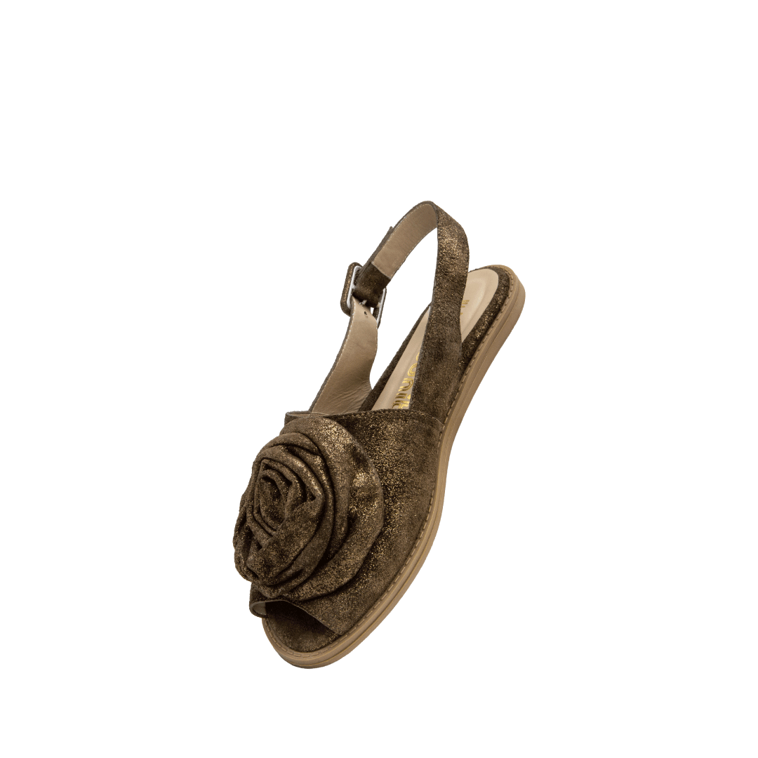 198566-B.PNG