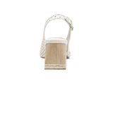 198648-C.PNG