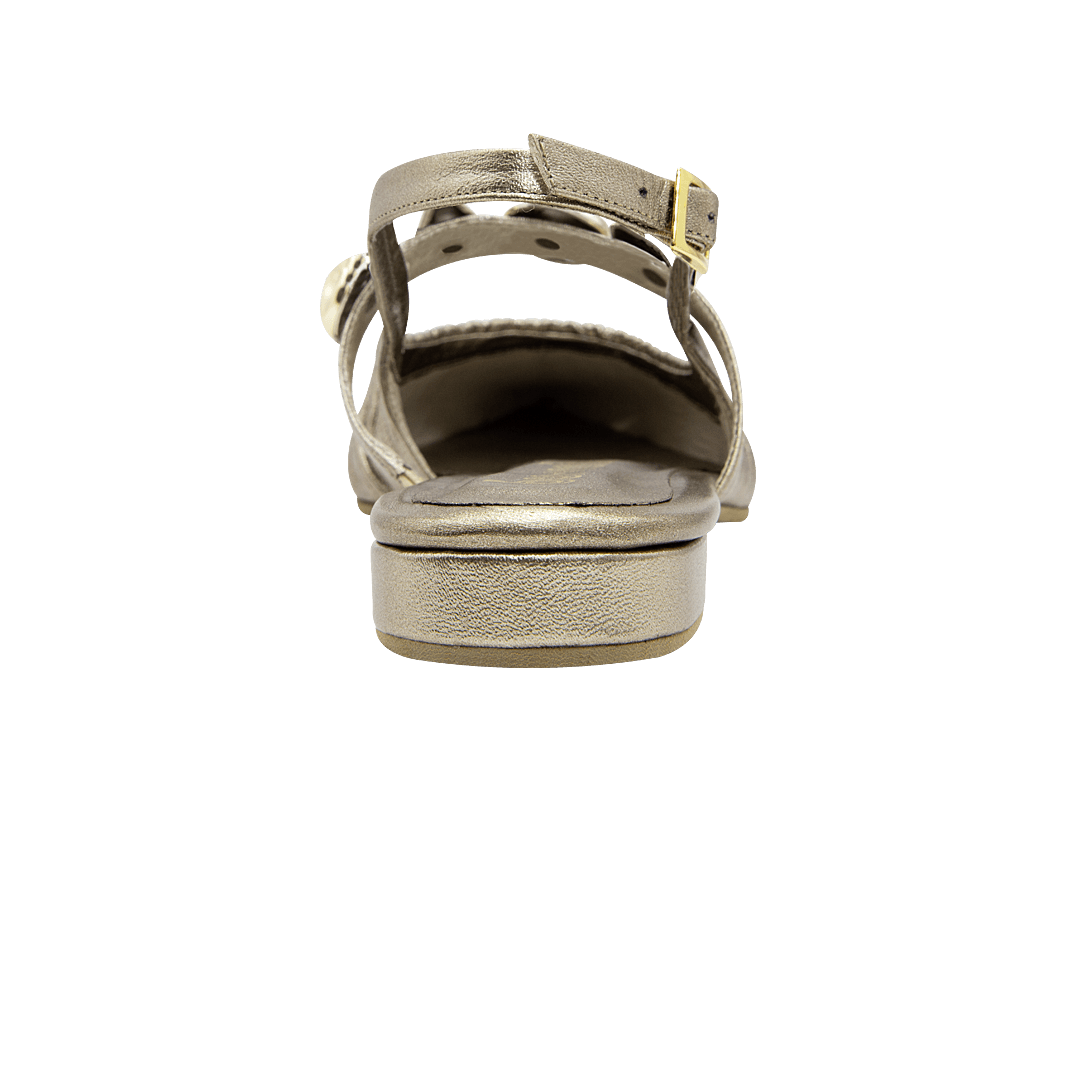 198654-C.PNG