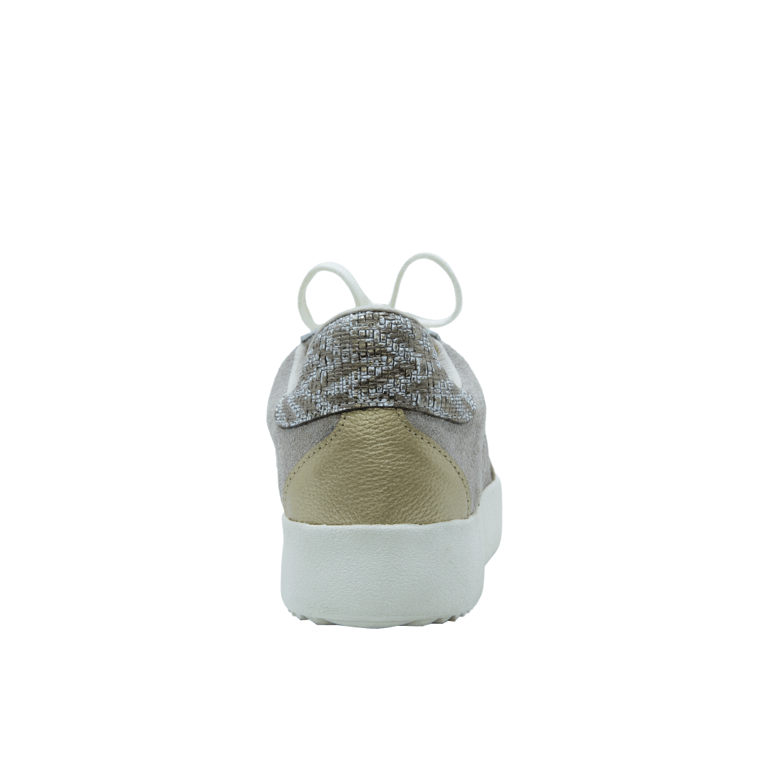 199077-C.PNG