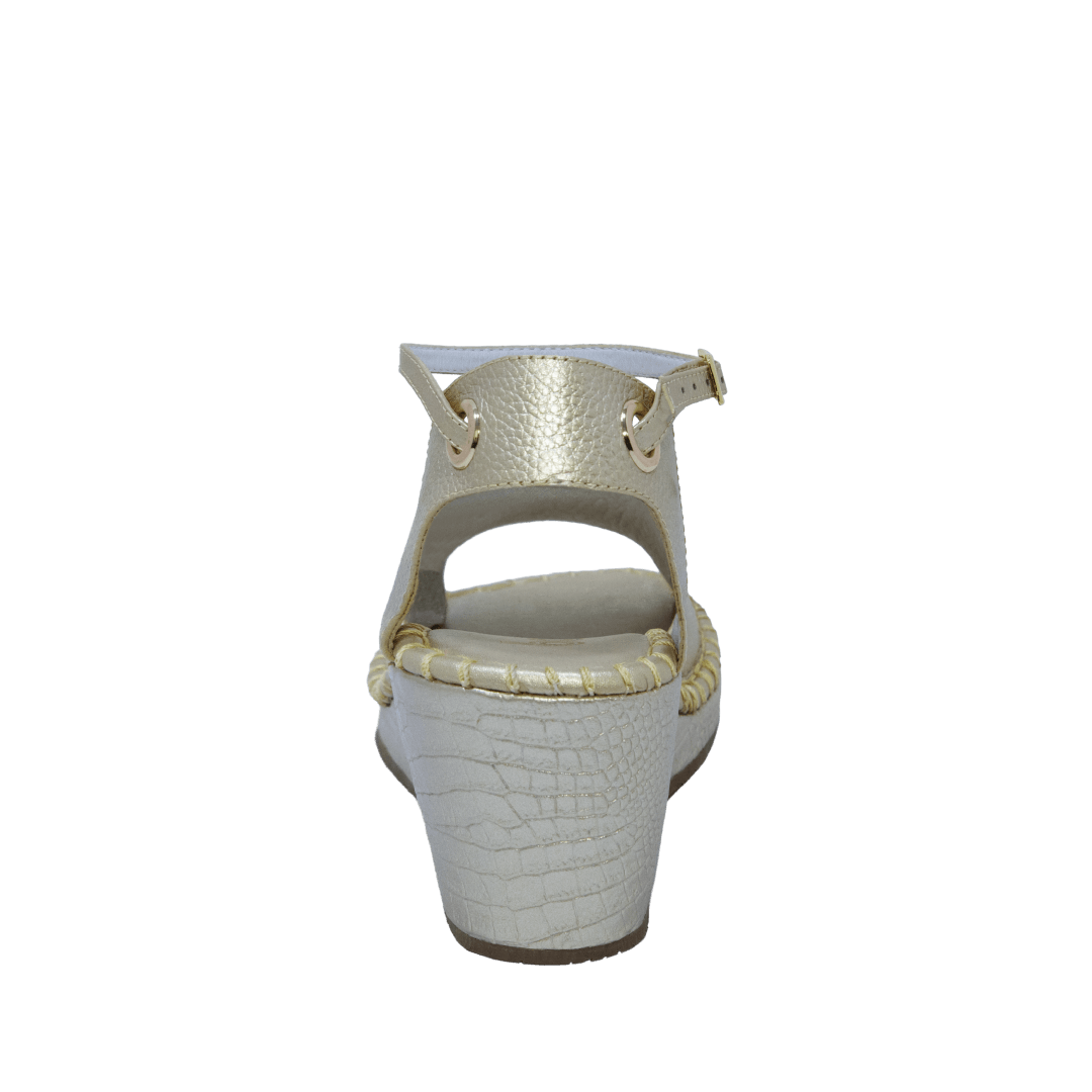 199138-C.PNG