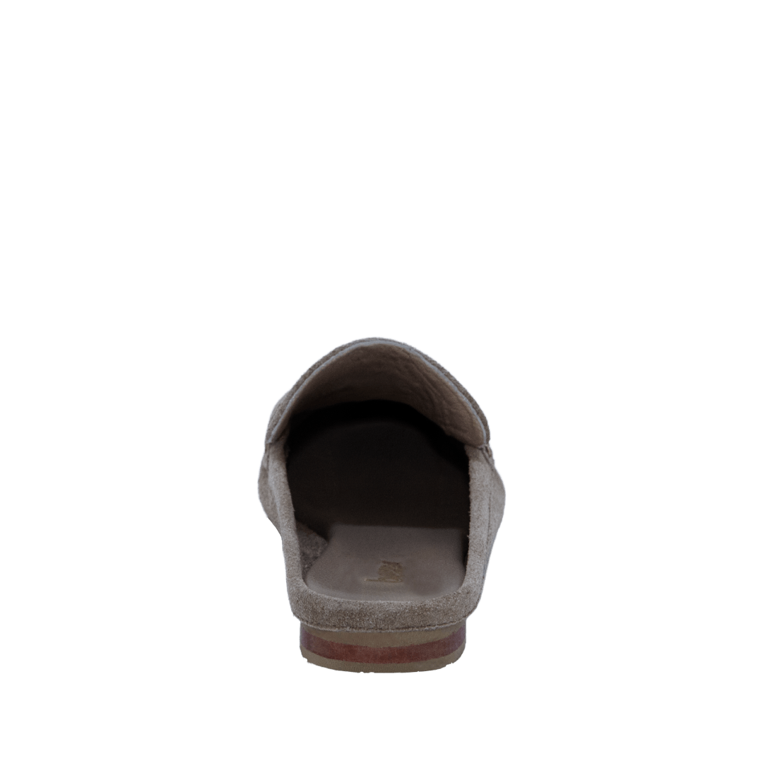 199231-C.PNG