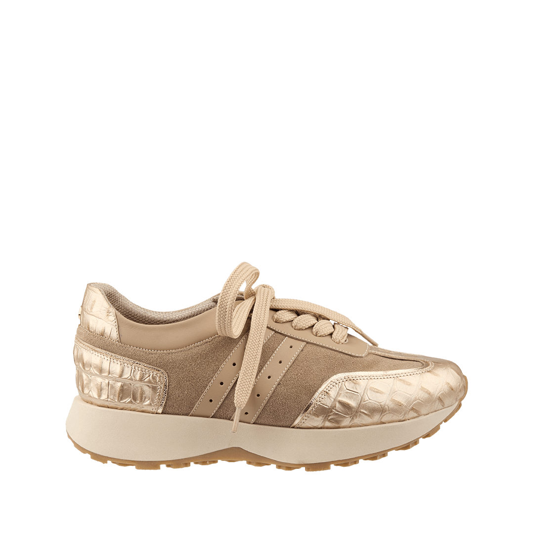 199470-A.PNG